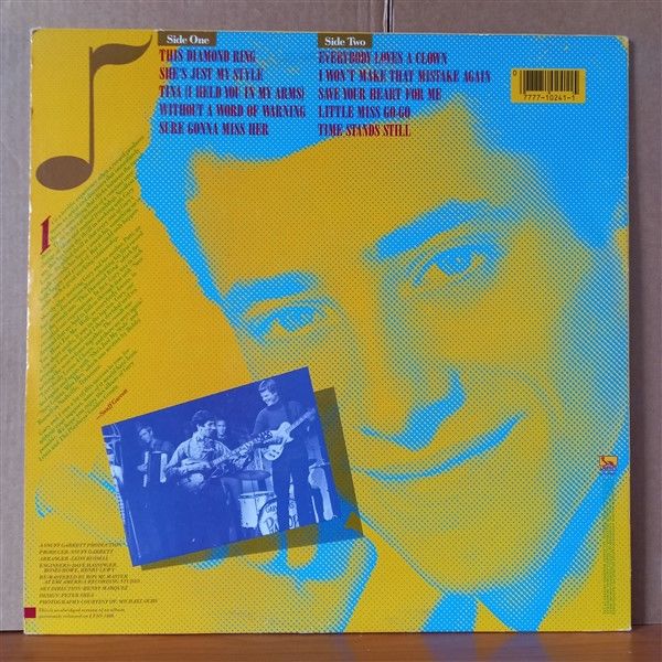 GARY LEWIS & THE PLAYBOYS – GOLDEN GREATS - LP 2.EL PLAK