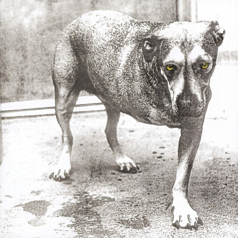 ALICE IN CHAINS - ALICE IN CHAINS (1995) - 2xLP 2026 HIGHLIGHTER YELLOW COLOURED EDITION SIFIR PLAK