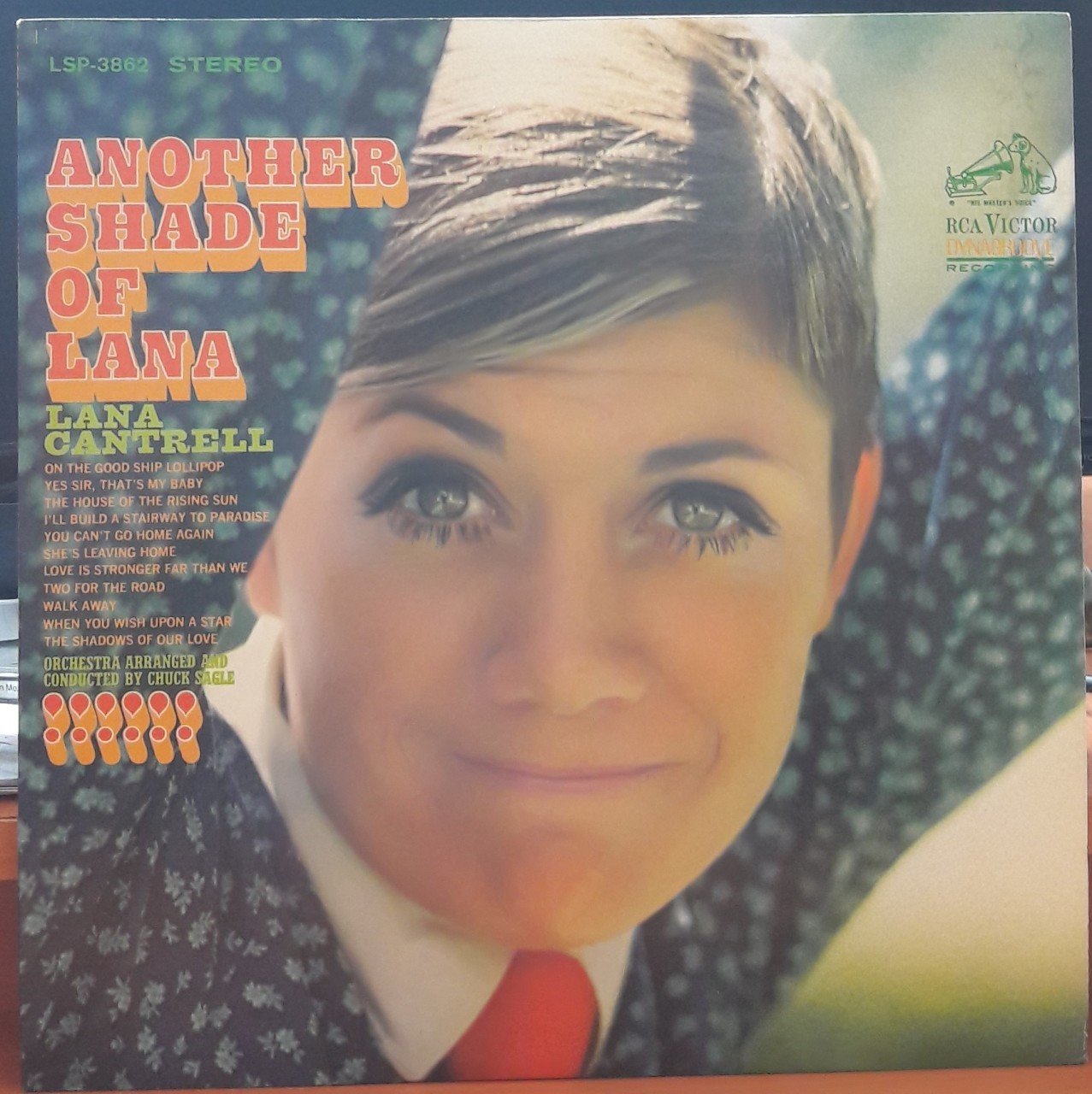 LANA CANTRELL - ANOTHER SHADE OF LANA - PLAK 2.EL