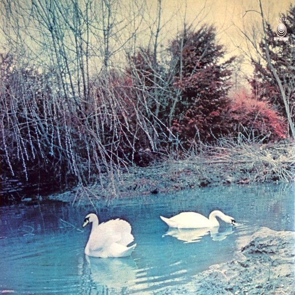 AFFINITY - AFFINITY (1970) - LP PSYCHEDELIC ROCK , JAZZ ROCK 2014 HALF SPEED MASTERING EDITION SIFIR PLAK