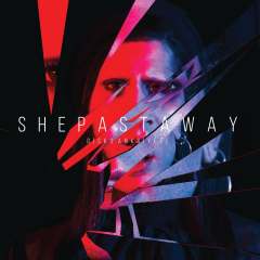 SHE PAST AWAY - DİSKO ANKSİYETE (2019) - SİYAH PLAK SIFIR