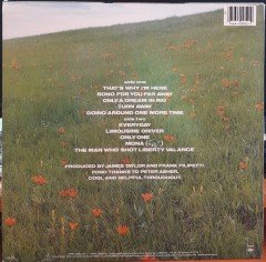 JAMES TAYLOR - THAT'S WHY I'M HERE (1985) - PLAK 2.EL