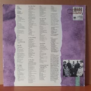 THE RICHARD SMALLWOOD SINGERS - VISION (1988) - LP 2.EL PLAK