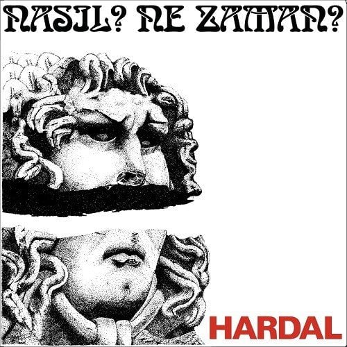HARDAL - NASIL ? NE ZAMAN ? (1980) - LP 2. BASKI SIFIR PLAK