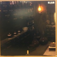 SANDY DENNY - THE NORTH STAR GRASSMAN AND THE RAVENS (1975) 2014 REISSUE 180 GR 2.EL PLAK