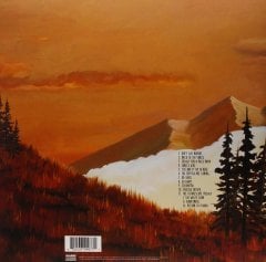 WEEZER - EVERYTHING WILL BE ALRIGHT IN THE END (2014) - PLAK SIFIR