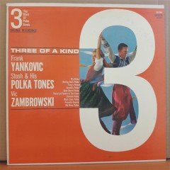 3 TOP STARS OF POLKA BANDS: FRANK YANKOVIC, STOSH POLKA TONES, VIC ZAMBROWSKI - LP 2.EL PLAK