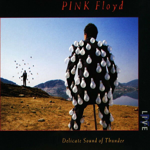 PINK FLOYD - DELICATE SOUND OF THUNDER (1988) - 2CD DIGIPACK SIFIR