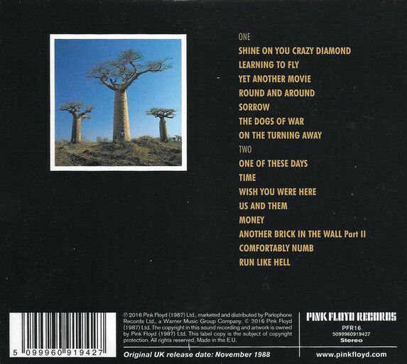 PINK FLOYD - DELICATE SOUND OF THUNDER (1988) - 2CD DIGIPACK SIFIR