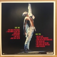 FREDDIE MERCURY - NEVER BORING 2019 2.EL PLAK