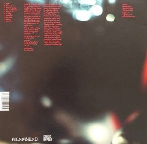 MARY OCHER + YOUR GOVERNMENT (2016) - LP SIFIR PLAK