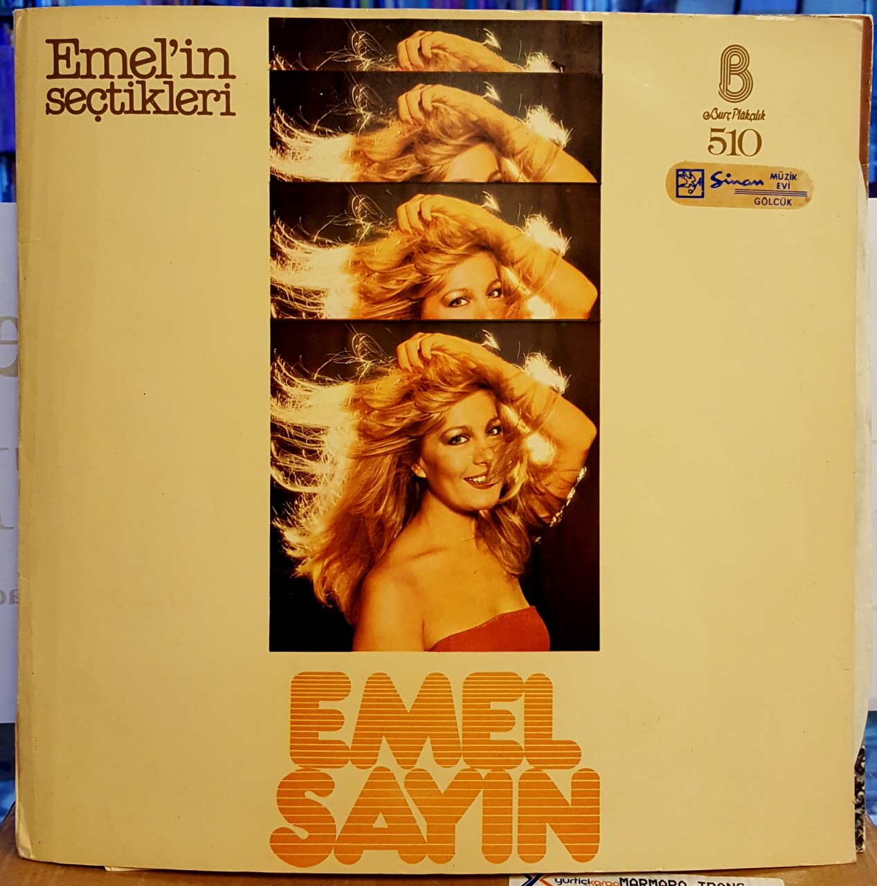 EMEL SAYIN - EMEL'İN SEÇTİKLERİ - LP 2.EL