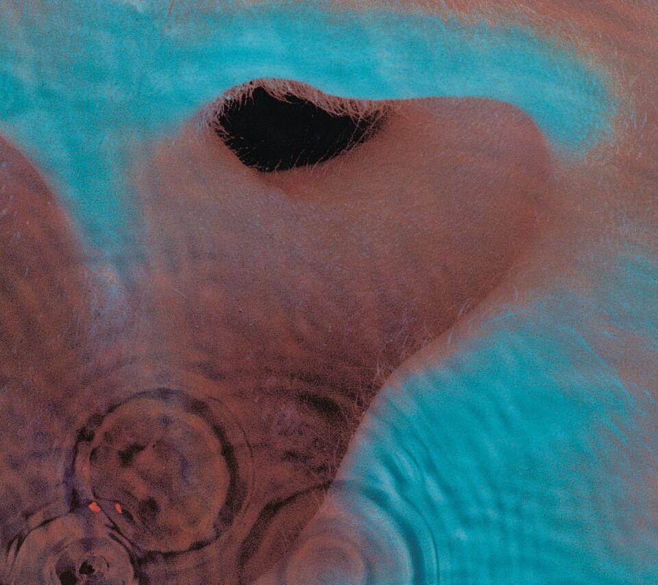 PINK FLOYD - MEDDLE (1971) - CD 2025 GATEFOLD CARDSLEEVE EDITION SIFIR
