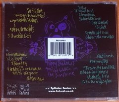 ANIMAL COLLECTIVE - SPIRIT THEY'RE GONE SPIRIT THEY'VE VANISHED / DANSE MANATEE (2003) - 2CD FATCAT RECORDS 2.EL