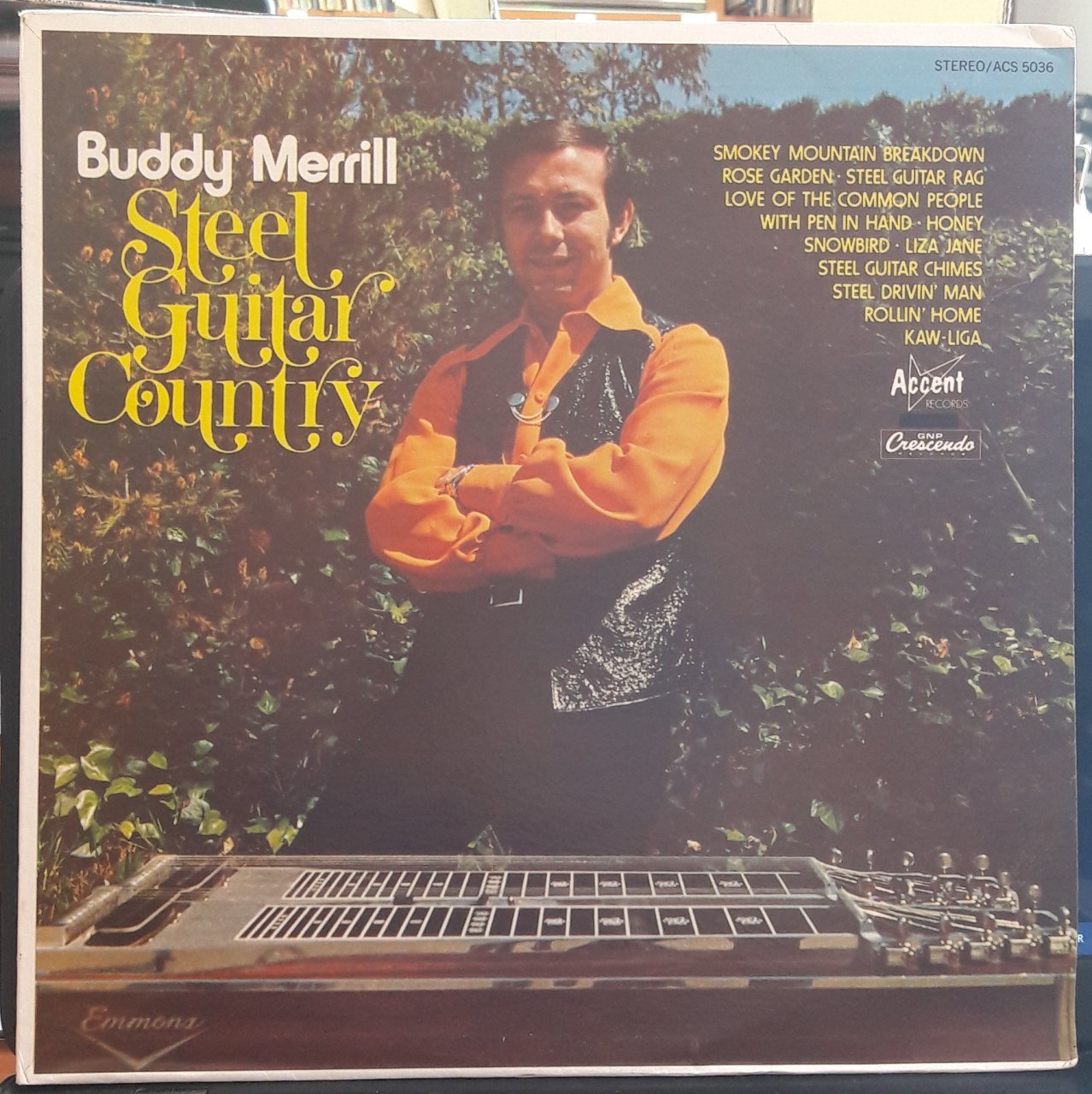 BUDDY MERRILL - STEEL GUITAR COUNTRY - PLAK 2.EL