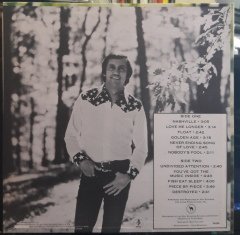 RAY STEVENS - NASHVILLE (1973) - PLAK 2.EL