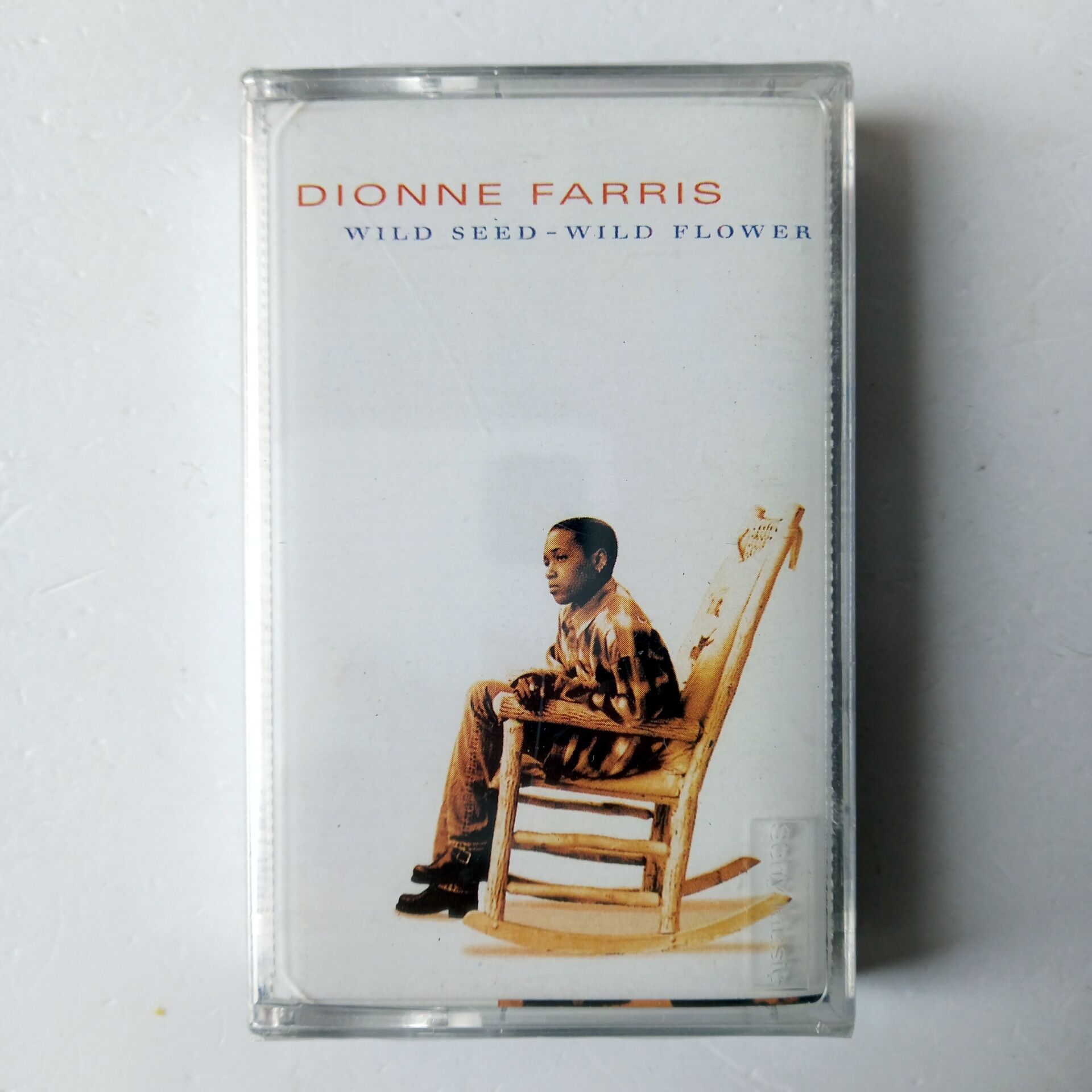 DIONNE FARRIS – WILD SEED / WILD FLOWER (1994) - KASET SIFIR