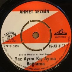 AHMET SEZGİN - AÇ AÇ KOLLARIN / YAZ AYINI KIŞ AYINA BAĞLAMA 7'' 45 DEVİR