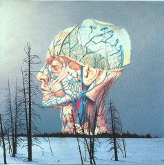 LOW - SONGS FOR A DEAD NIGHT EP (1997) - CD 2.EL