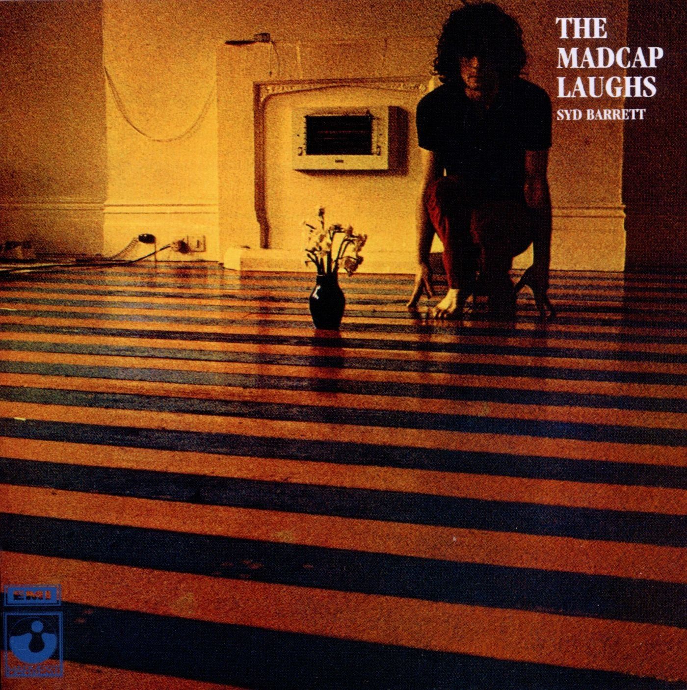 SYD BARRETT - THE MADCAP LAUGHS (1970) - LP 2014 EDITION GATEFOLD SIFIR PLAK