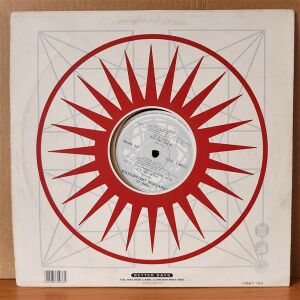 DISCO UNIVERSE ORCHESTRA - SOUL ON ICE (1992) - 12'' 45RPM MAXI SINGLE 2.EL PLAK