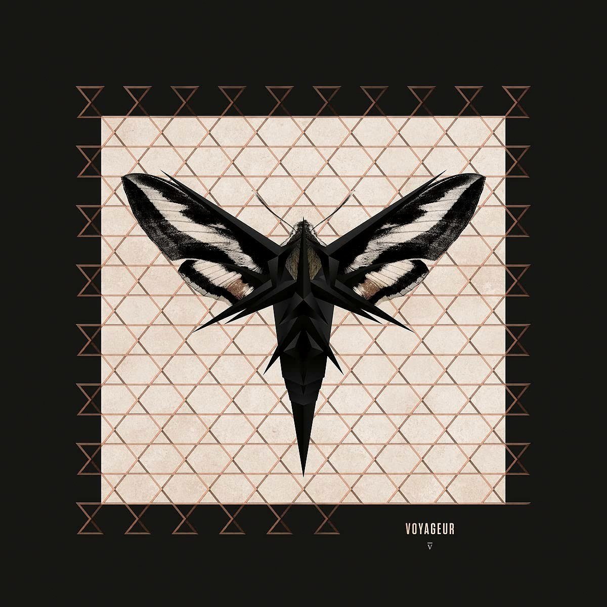 ENIGMA - VOYAGEUR (2003) - LP 180GR MONOCHROME SERIES 2021 EDITION SIFIR PLAK