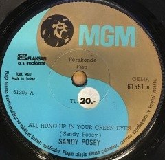 SANDY POSEY - ALL HUNG UP IN YOUR GREEN EYES / YOUR CONCEPTION OF LOVE 7'' 45 DEVİR