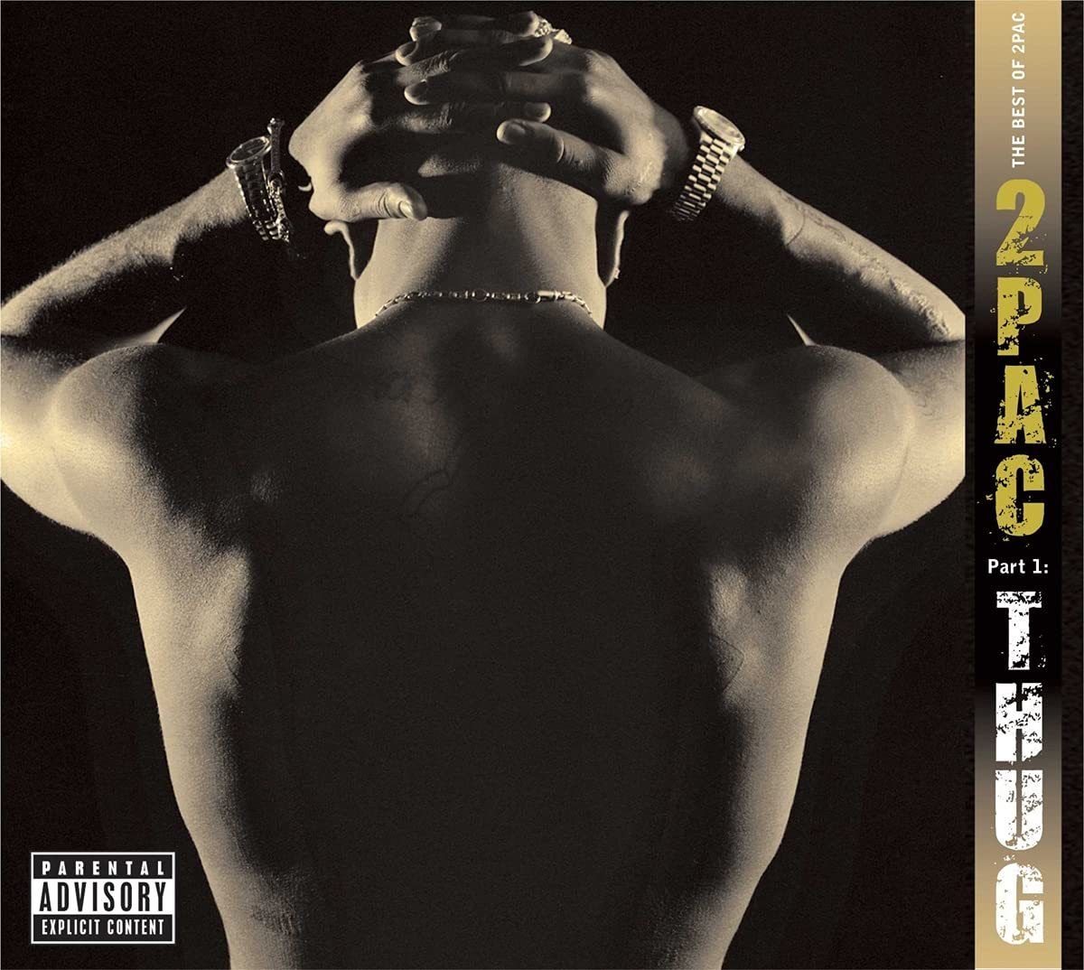2PAC (TUPAC) - THE BEST OF 2PAC / PART 1: THUG (2007) - 2LP COMPILATION 2021 EDITION SIFIR PLAK