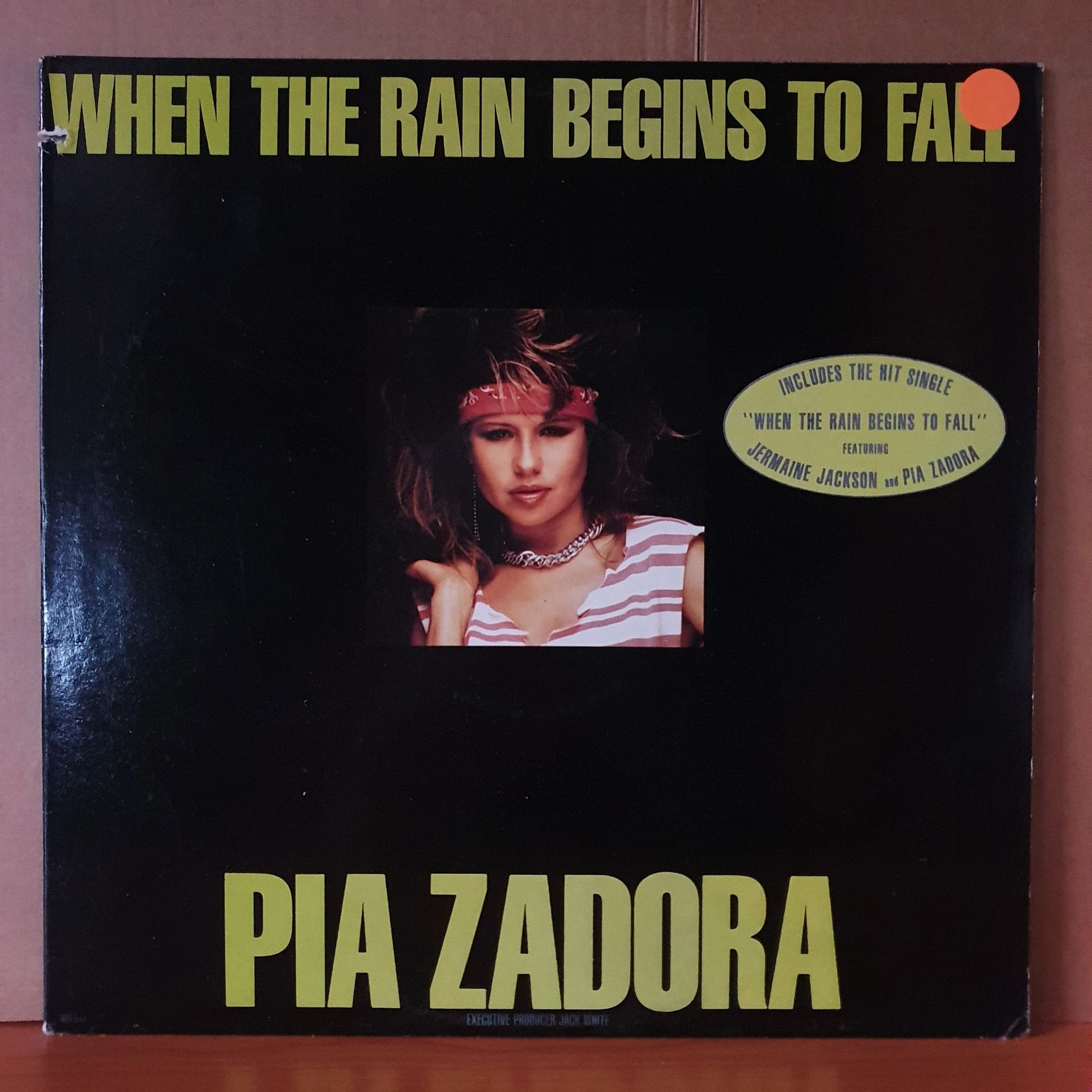 PIA ZADORA - WHEN THE RAIN BEGINS TO FALL (1985) - LP 2.EL PLAK