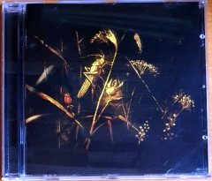PAT METHENY & ANNA MARIA JOPEK - UPOJENIE (2002) - CD NONESUCH 2.EL
