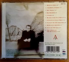 ANDY SUMMERS (1990) CHARMING SNAKES CD JAZZ FUSION 2.EL