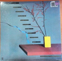 JANE OLIVOR - THE BEST SIDE OF GOODBYE (1980) - DÖNEM BASKISI SIFIR PLAK