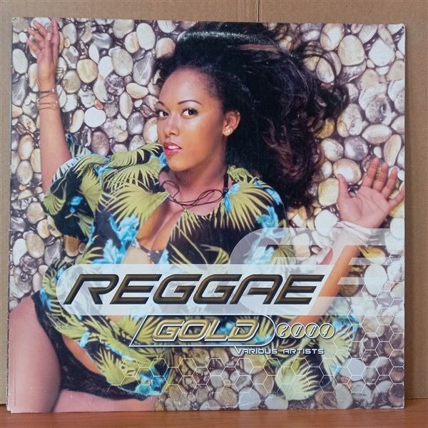 REGGAE GOLD 2004 / CAPLETON, BEENIE MAN, ELEPHANT MAN, TONY TOUCH, ALICIA KEYS, NATTY KING (2004) - LP 2.EL PLAK
