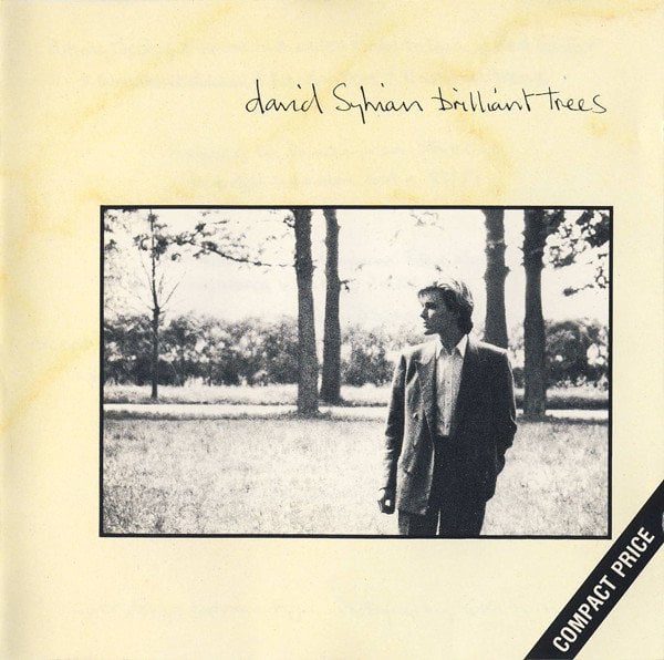 DAVID SYLVIAN - BRILLIANT TREES (1984) - CD DOWNTEMPO ART ROCK 2.EL