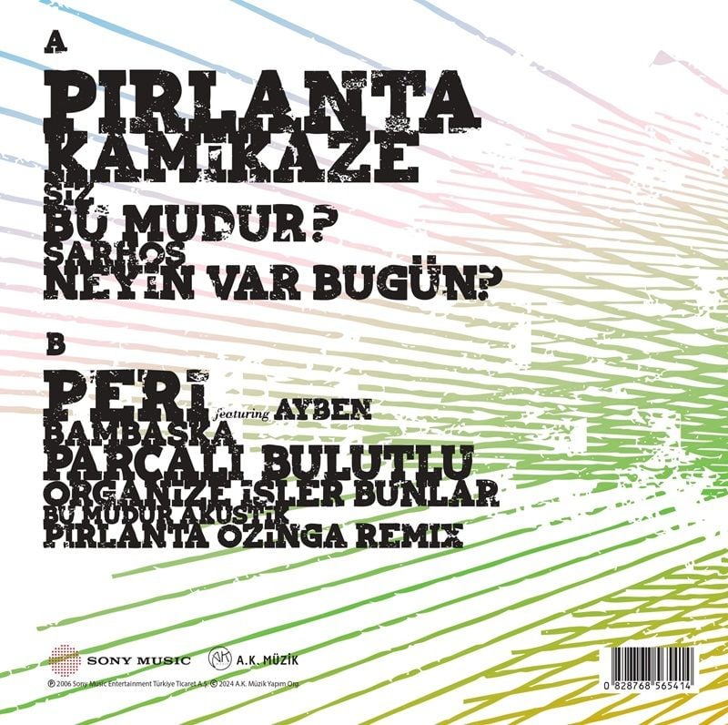 NİL KARAİBRAHİMGİL - TEK TAŞIMI KENDİM ALDIM (2006) - LP 2024 BASIM SIFIR PLAK