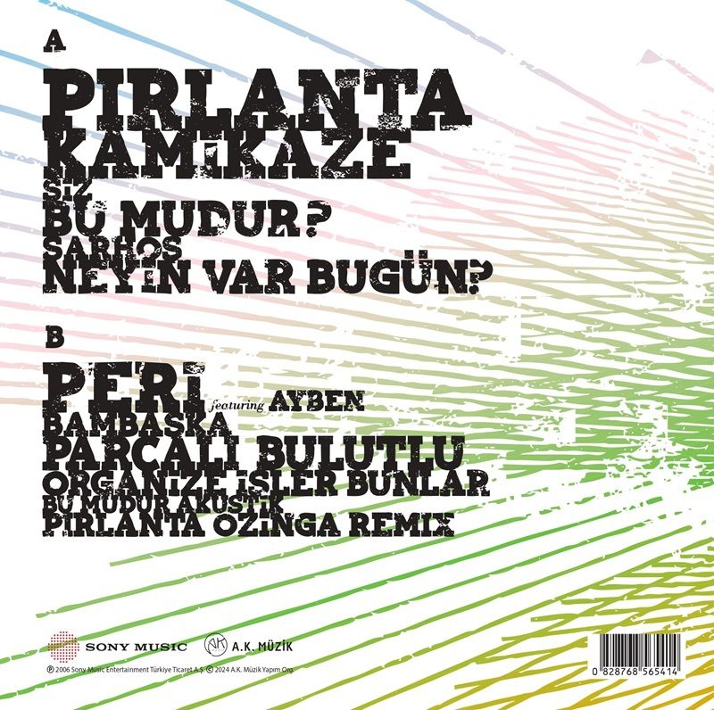 NİL KARAİBRAHİMGİL - TEK TAŞIMI KENDİM ALDIM (2006) - LP 2024 BASIM SIFIR PLAK