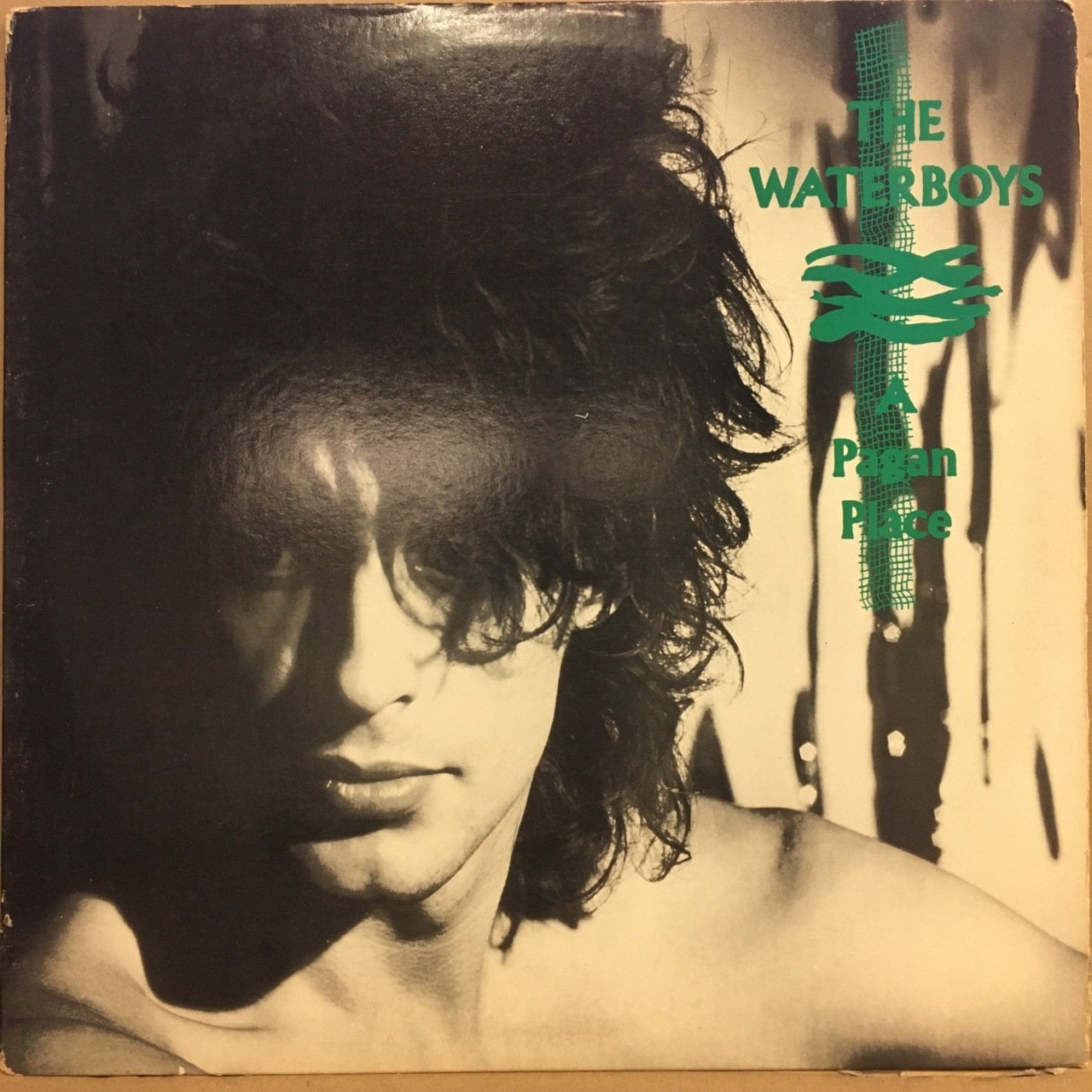 THE WATERBOYS - A PAGAN PLACE (1984) 2.EL PLAK