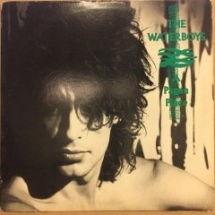THE WATERBOYS - A PAGAN PLACE (1984) 2.EL PLAK
