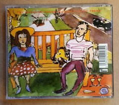 THE MAGNETIC FIELDS - THE WAYWARD BUS (2004) - CD SYNTH POP INDIE ROCK 2.EL