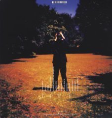 STEVEN WILSON - INSURGENTS (2013) - SIFIR PLAK