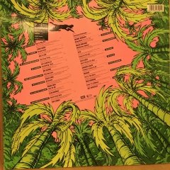 FORMEL EINS WILD HITS 1987 80LER KARIŞIK POP 2.EL PLAK
