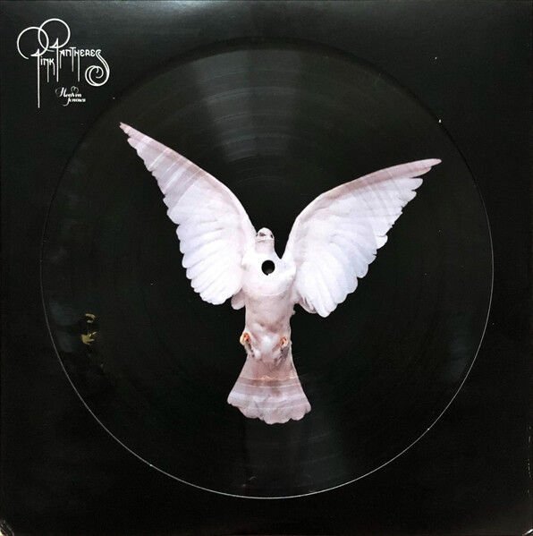 PINKPANTHERESS – HEAVEN KNOWS (2023) - LP 2024 PICTURE DISC ZOETROPE SIFIR PLAK