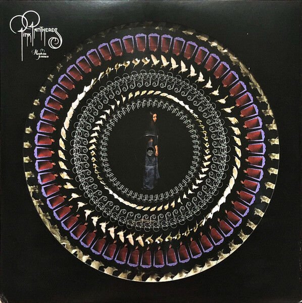 PINKPANTHERESS – HEAVEN KNOWS (2023) - LP 2024 PICTURE DISC ZOETROPE SIFIR PLAK