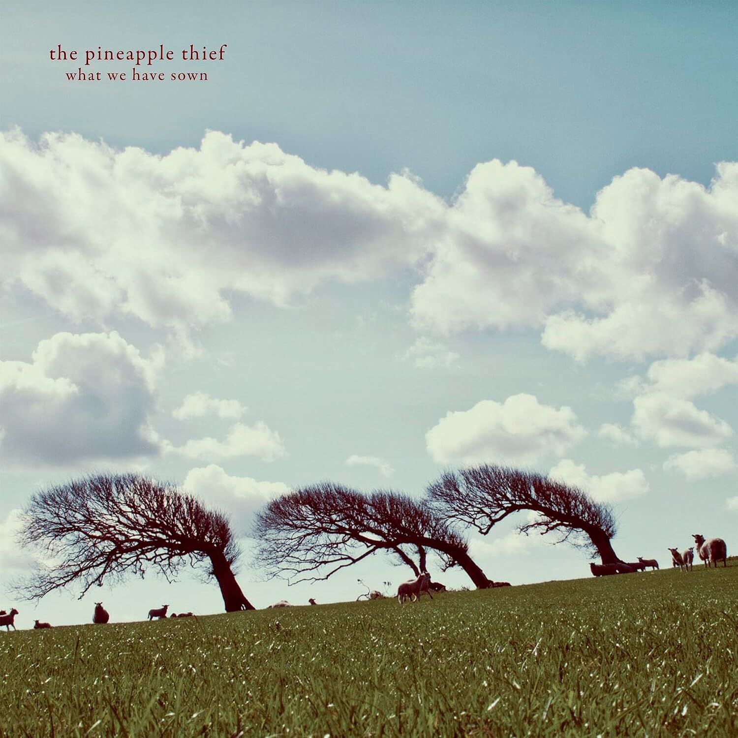THE PINEAPPLE THIEF - WHAT WE HAVE SOWN (2007) - 2xLP 2019 EDITION SIFIR PLAK