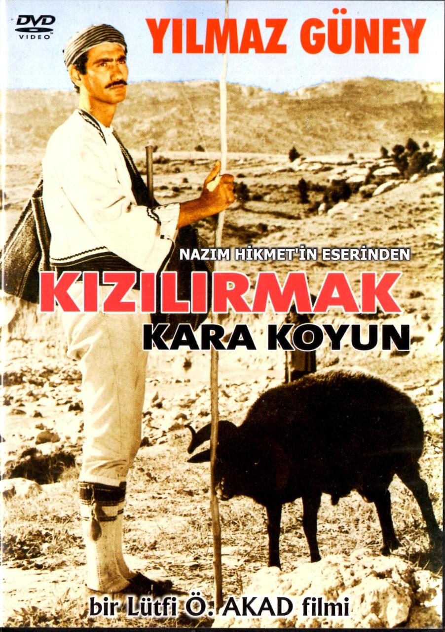 KIZILIRMAK KARAKOYUN - YILMAZ GÜNEY - NİLÜFER KOÇYİĞİT - LÜTFİ Ö. AKAD - DVD 2.EL (NAZIM HİKMET)