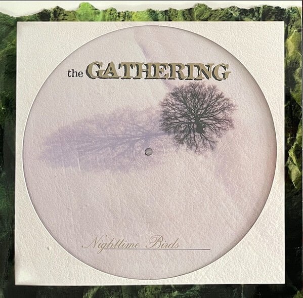 THE GATHERING - NIGHTTIME BIRDS (1997) - LP 2025 PICTURE DISC EDITION DOOM METAL GOTHIC METAL SIFIR PLAK