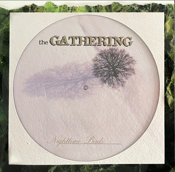 THE GATHERING - NIGHTTIME BIRDS (1997) - LP 2025 PICTURE DISC EDITION DOOM METAL GOTHIC METAL SIFIR PLAK