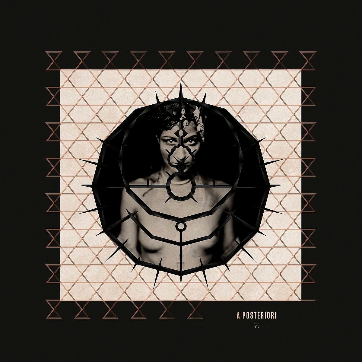 ENIGMA - A POSTERIORI (2006) - LP 180GR MONOCHROME SERIES 2021 EDITION SIFIR PLAK