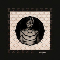 ENIGMA - A POSTERIORI (2006) - LP 180GR MONOCHROME SERIES 2021 EDITION SIFIR PLAK