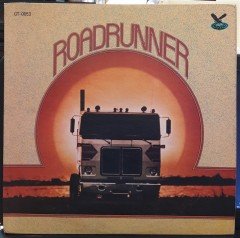 ROADRUNNER - DAVE DUDLEY, JOHNNY CARVER, RED SOVINE... (1979) - PLAK 2.EL